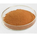 Golden Seal Root Extract Powder, Extracto de Raiz de Selo de Ouro Alkaloid 20%, Extracto de Raiz de Selo de Ouro Berberine 20%